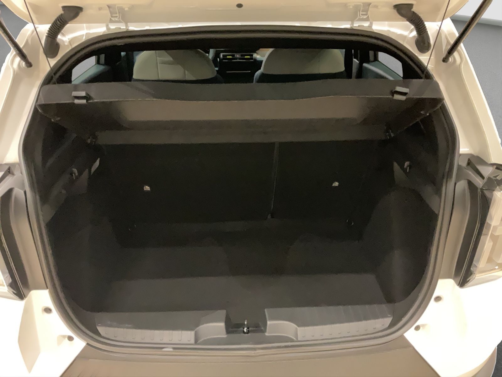Fahrzeugabbildung Fiat Grande Panda Elektro La Prima + Winterpaket