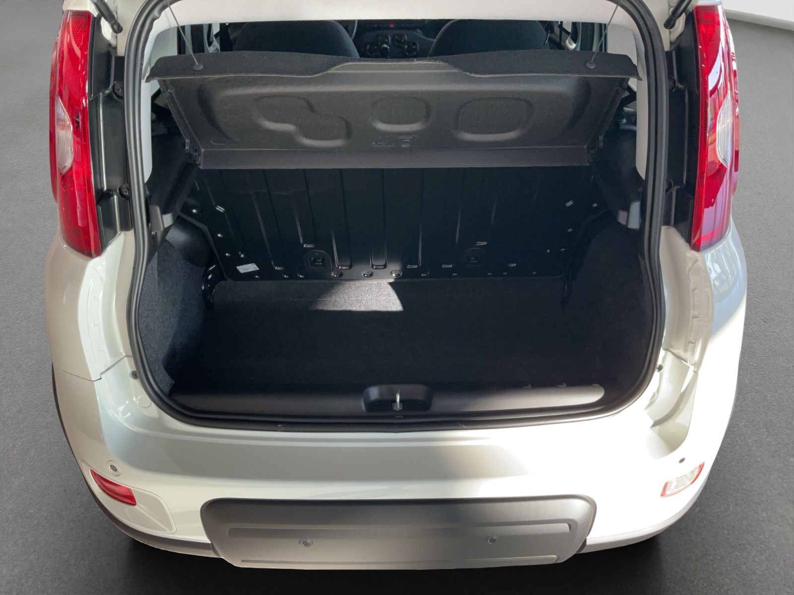 Fahrzeugabbildung Fiat Panda Hybrid 1.0 GSE + City Paket