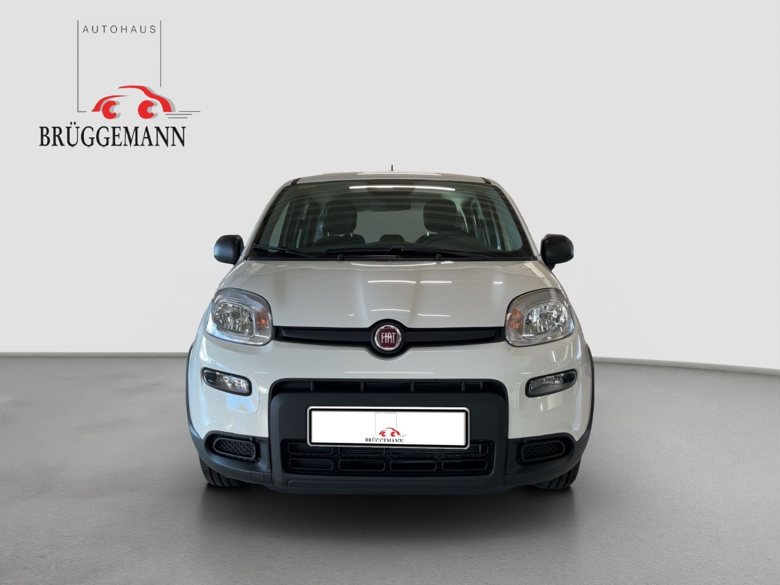 Fahrzeugabbildung Fiat Panda Hybrid 1.0 GSE + City Paket
