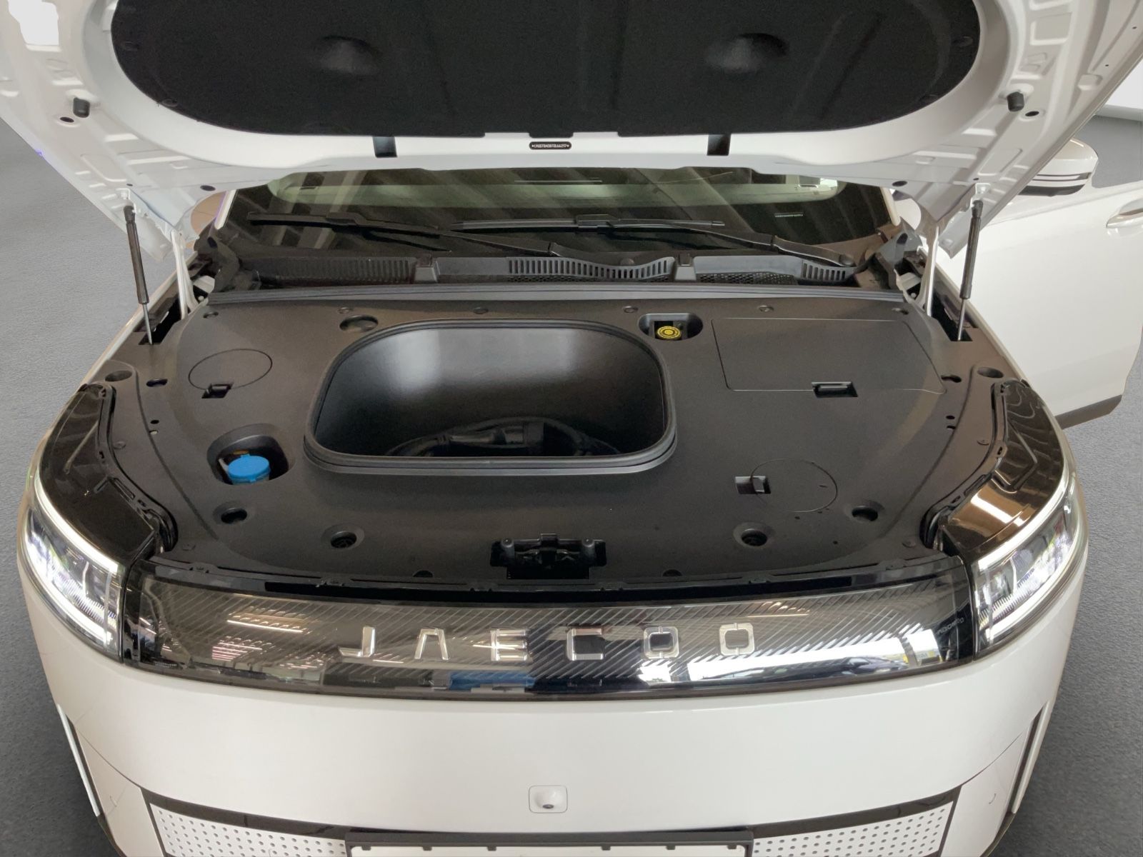 Fahrzeugabbildung JAECOO 5 EV Select