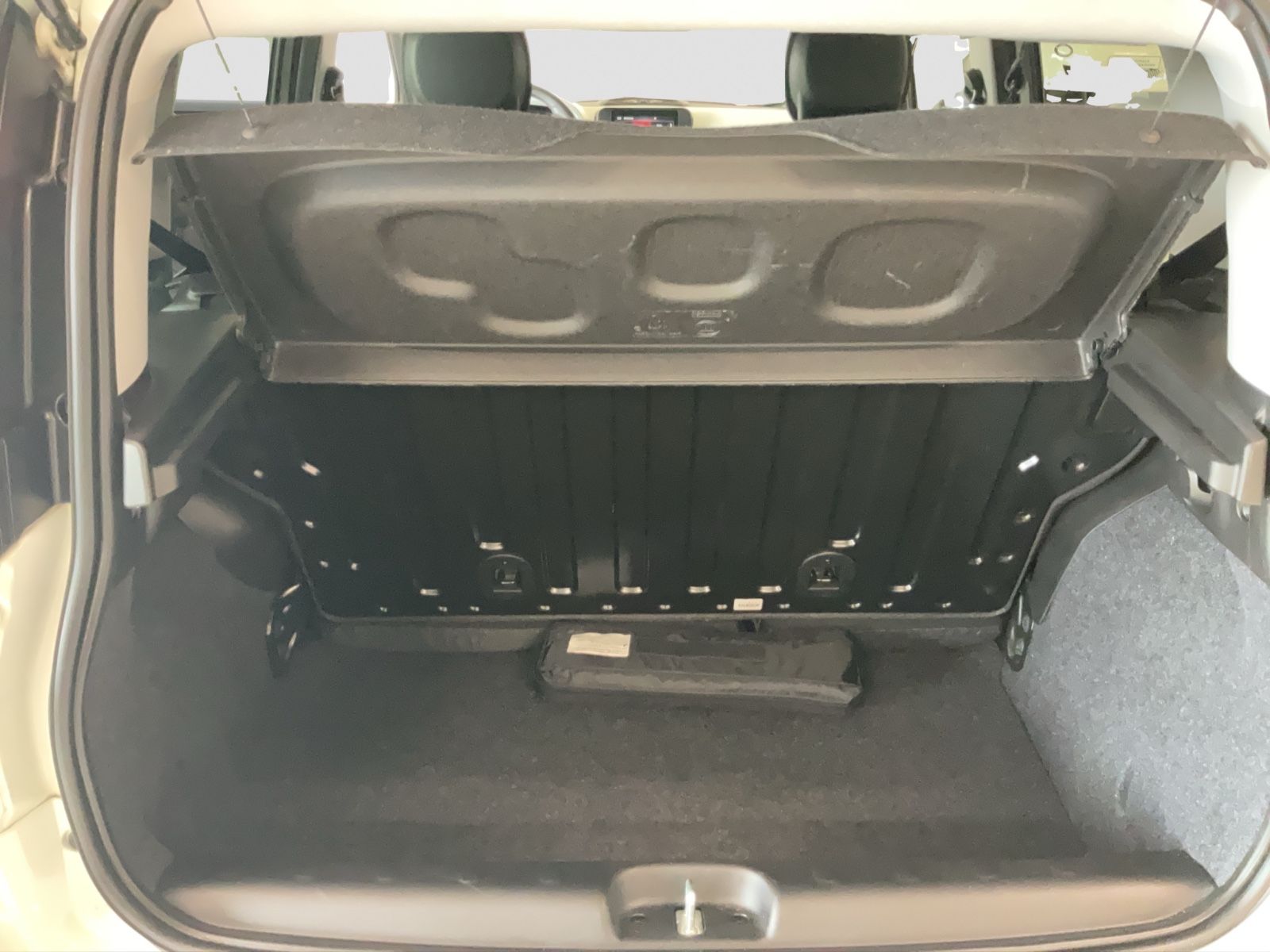 Fahrzeugabbildung Fiat Panda 1.0 Hybrid CROSS Allwetterreifen