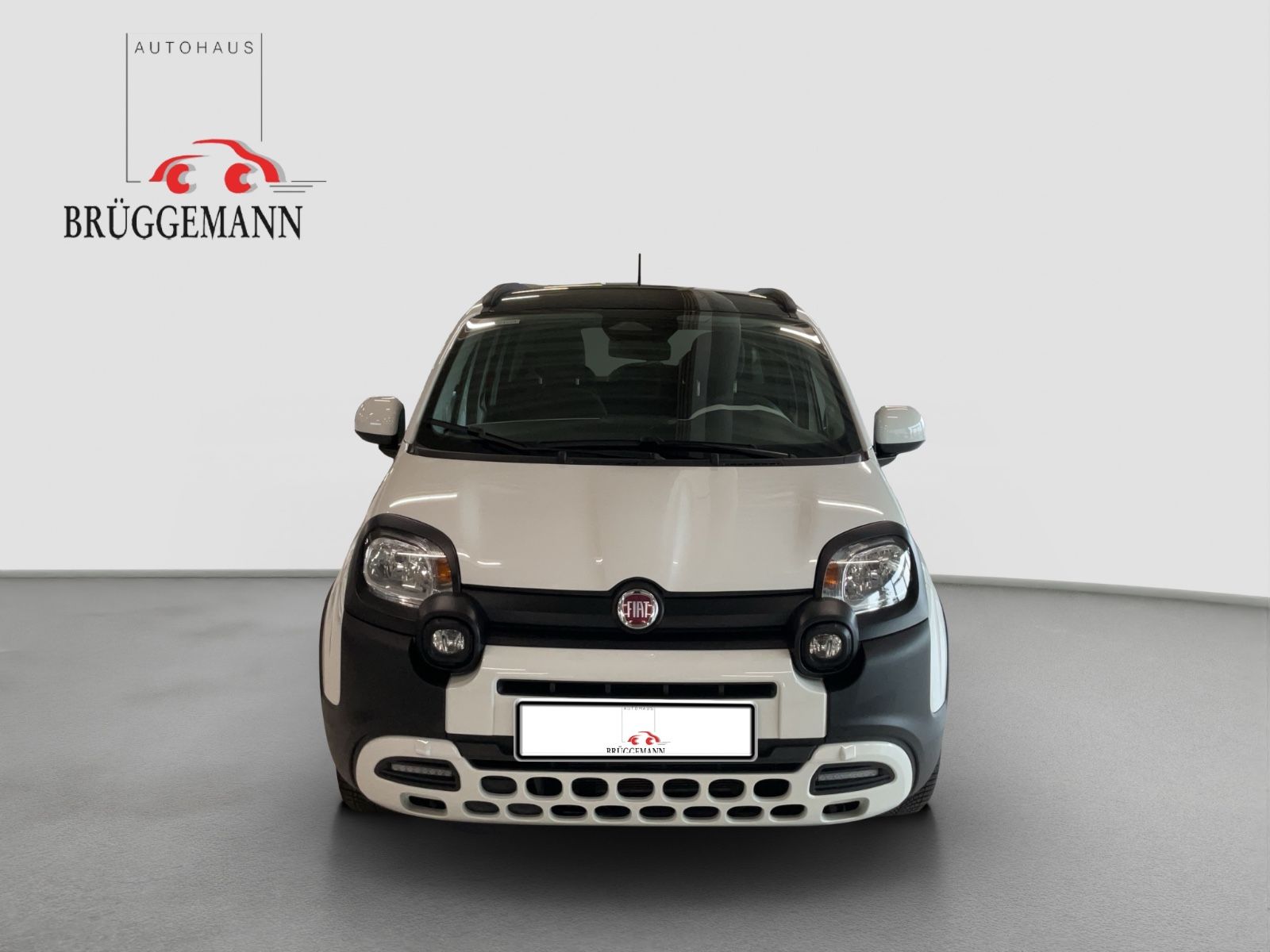 Fahrzeugabbildung Fiat Panda 1.0 Hybrid CROSS Allwetterreifen