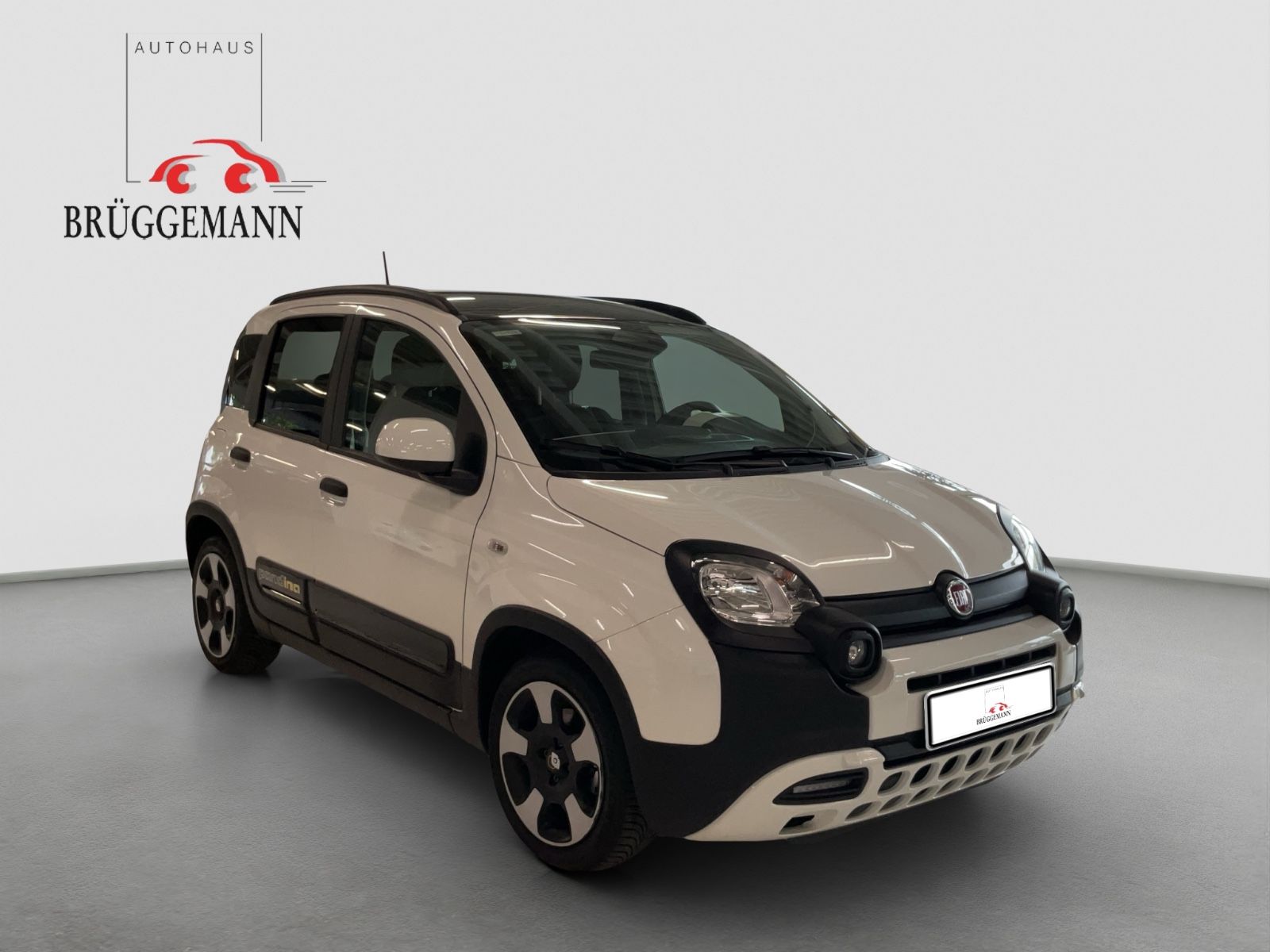 Fahrzeugabbildung Fiat Panda 1.0 Hybrid CROSS Allwetterreifen