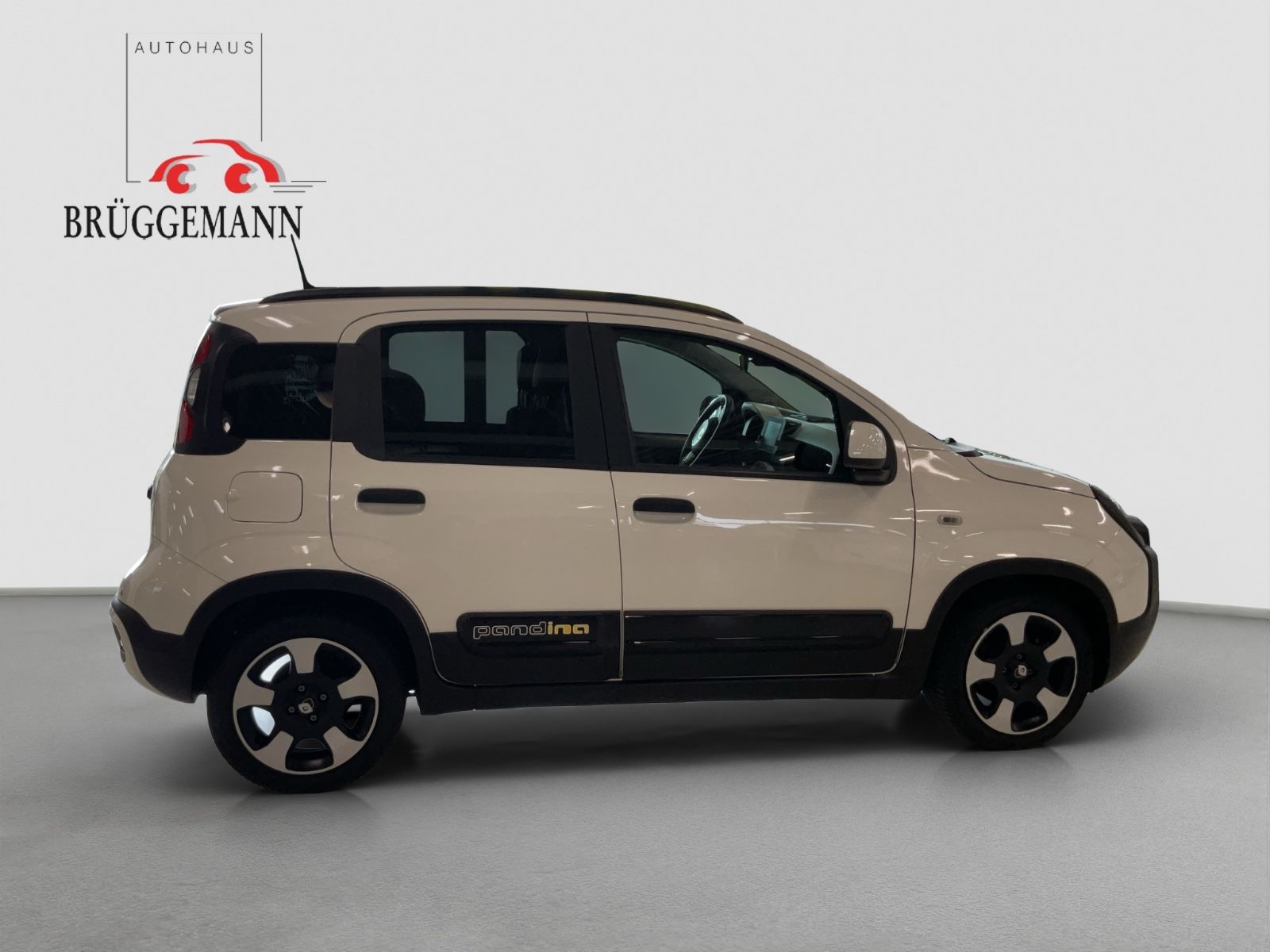 Fahrzeugabbildung Fiat Panda 1.0 Hybrid CROSS Allwetterreifen