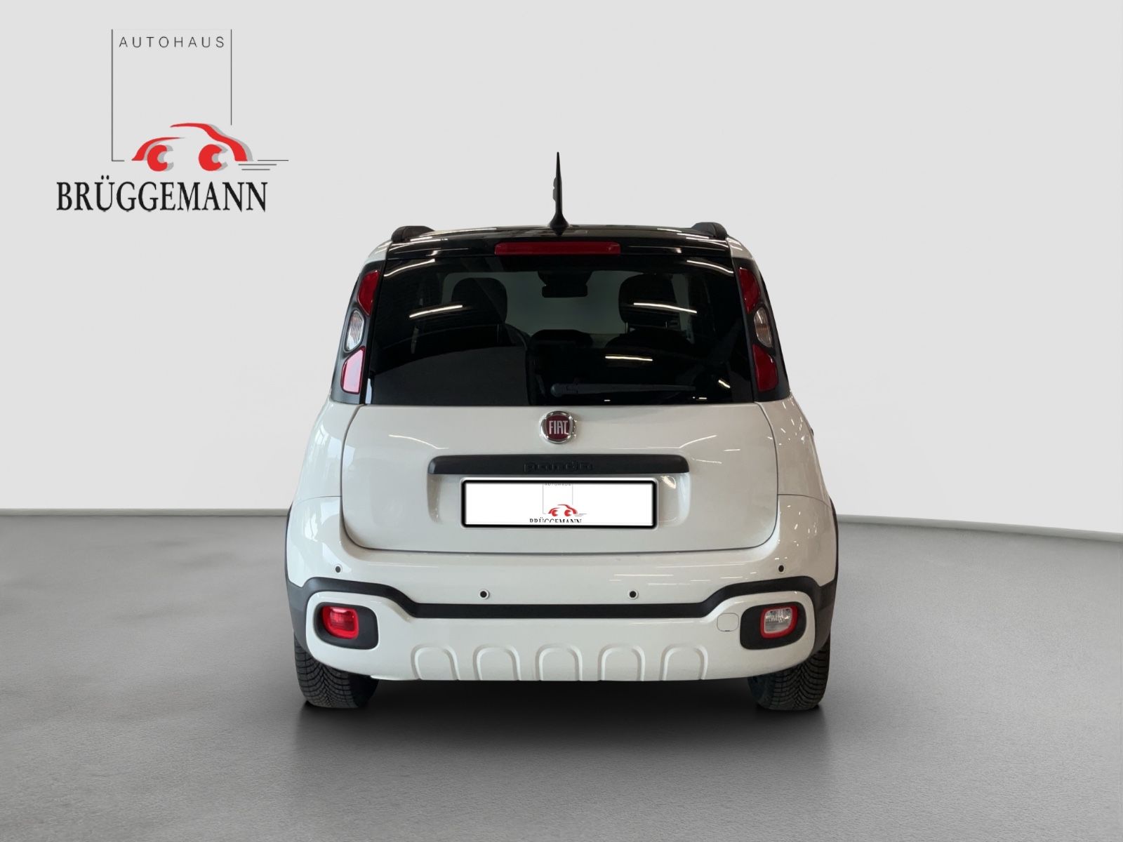 Fahrzeugabbildung Fiat Panda 1.0 Hybrid CROSS Allwetterreifen