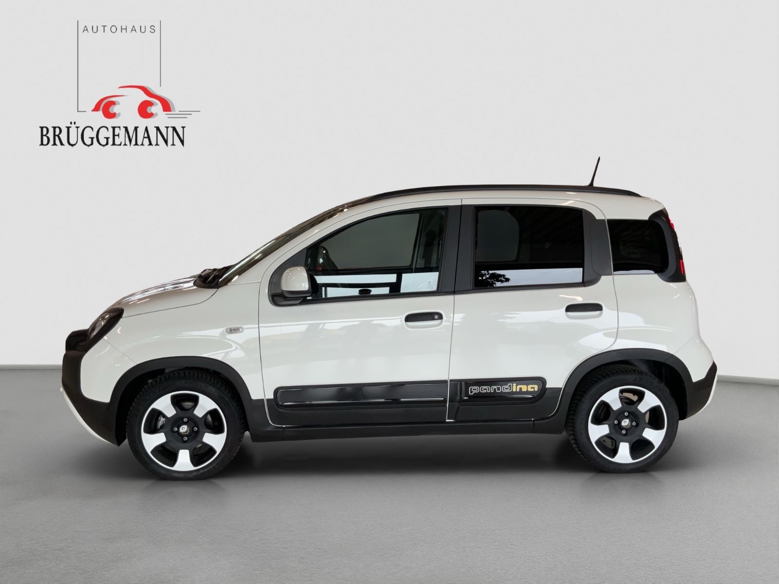 Fahrzeugabbildung Fiat Panda 1.0 Hybrid CROSS Allwetterreifen