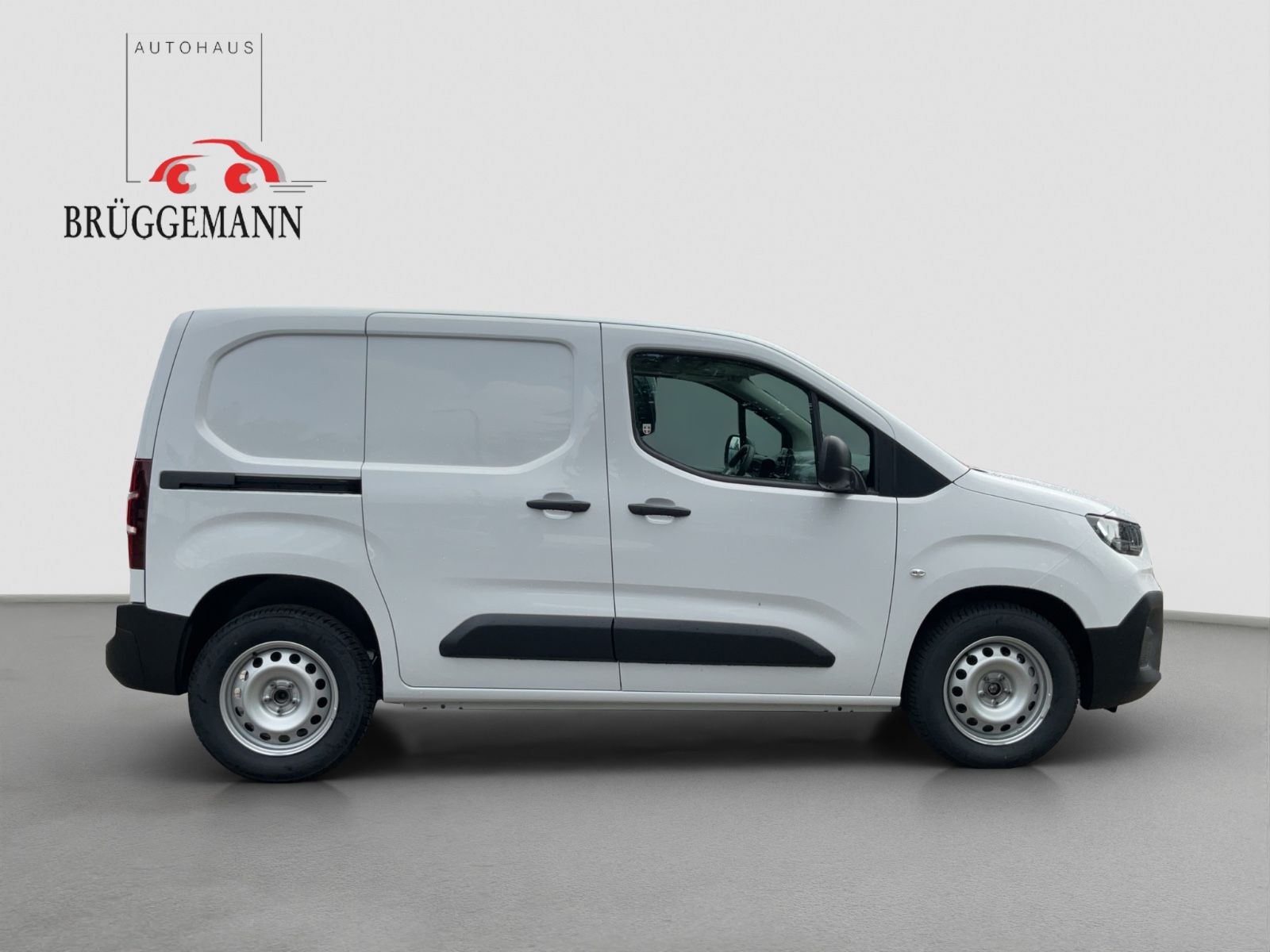 Fahrzeugabbildung Fiat Doblo L1 KaWa 1.5 101 PS MT + Allwetter,Kamera