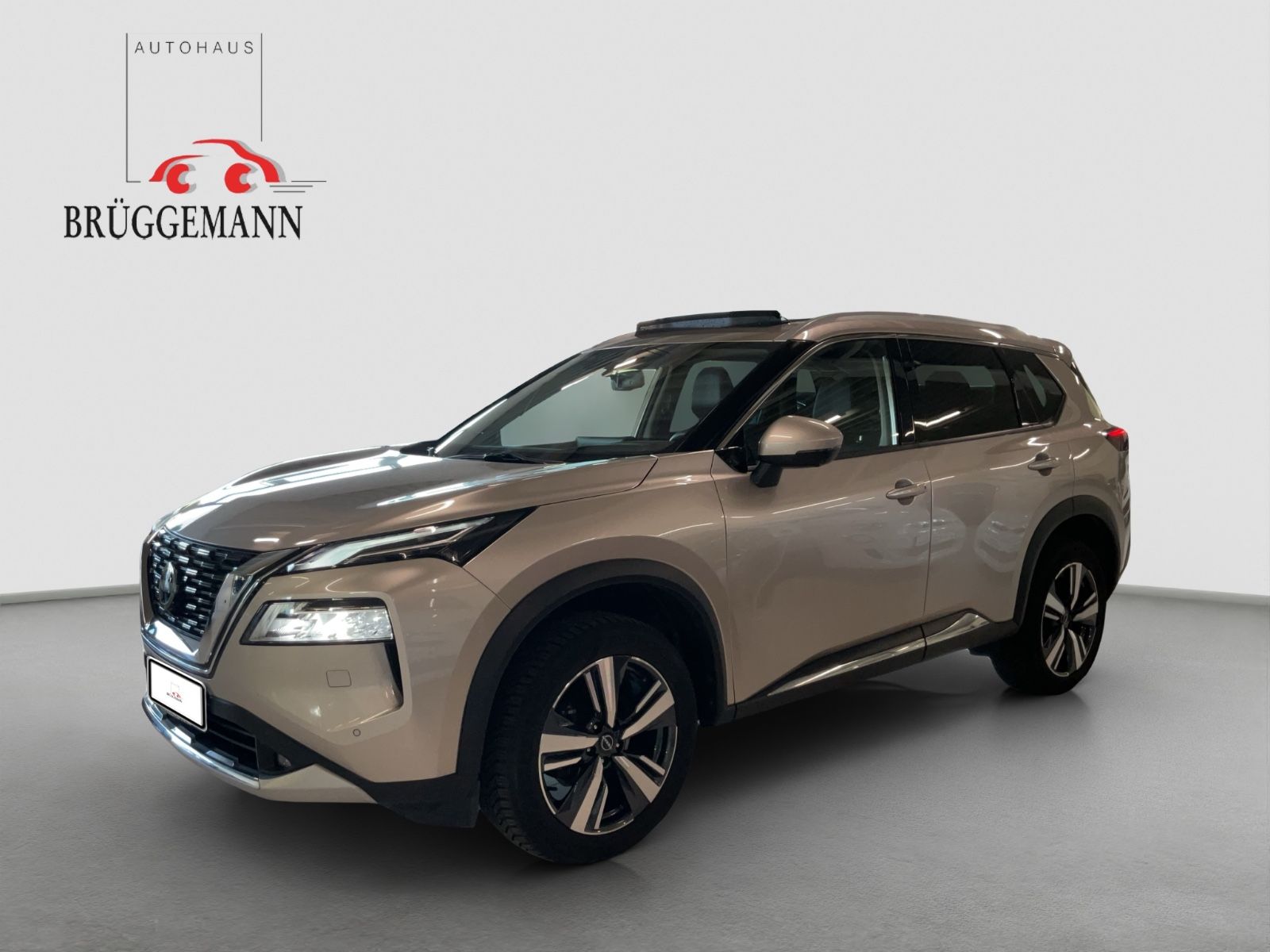 Fahrzeugabbildung Nissan X-Trail Tekna Head-Up,Shzg, Bose,Panor.GJR