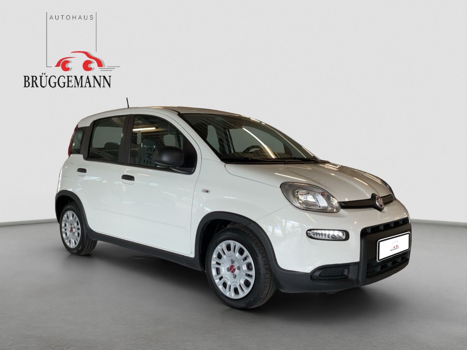 Fahrzeugabbildung Fiat Panda 1,0 Hybrid Klima/DAB