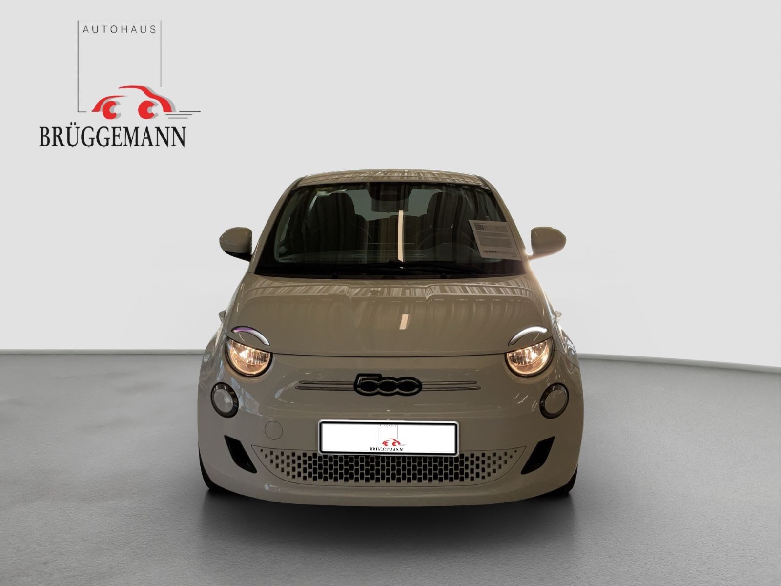 Fahrzeugabbildung Fiat 500e