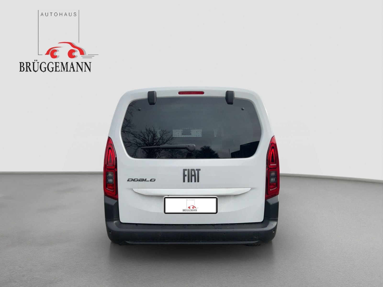 Fahrzeugabbildung Fiat Doblo Kombi L2 75kW MT6