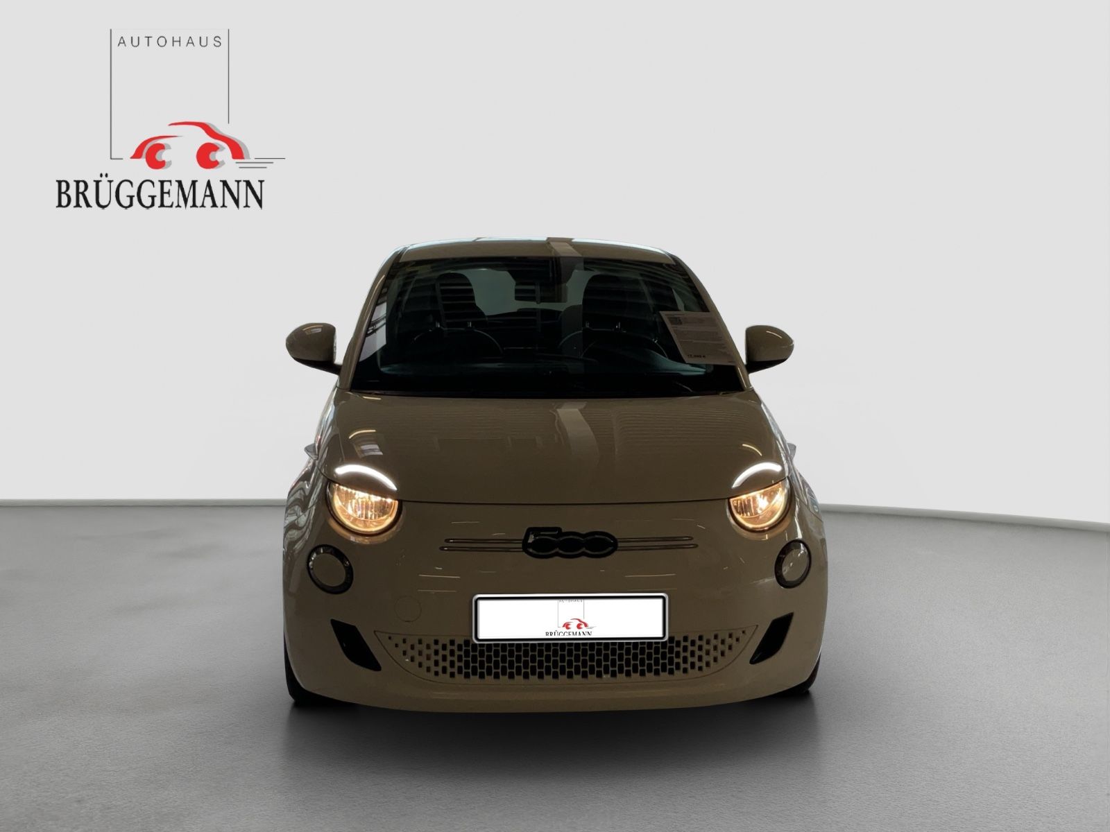 Fahrzeugabbildung Fiat 500e