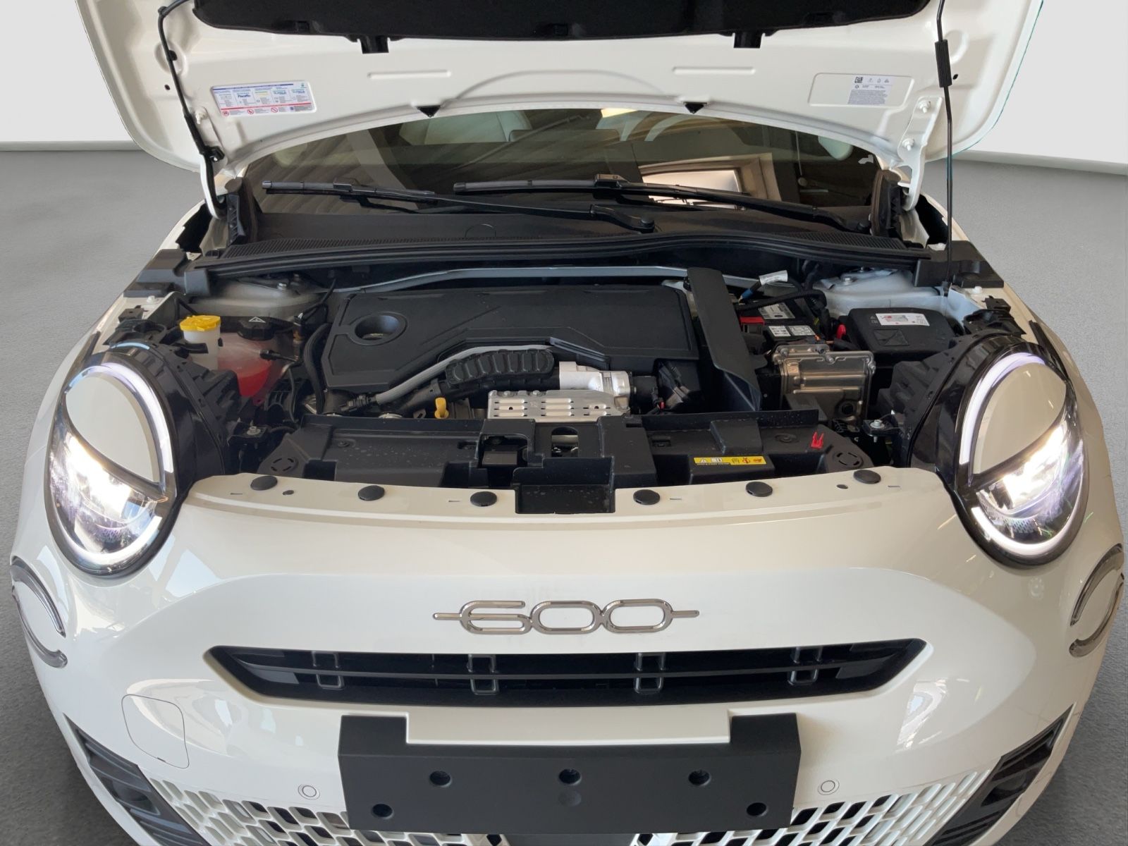 Fahrzeugabbildung Fiat 600 Hybrid Business Edition
