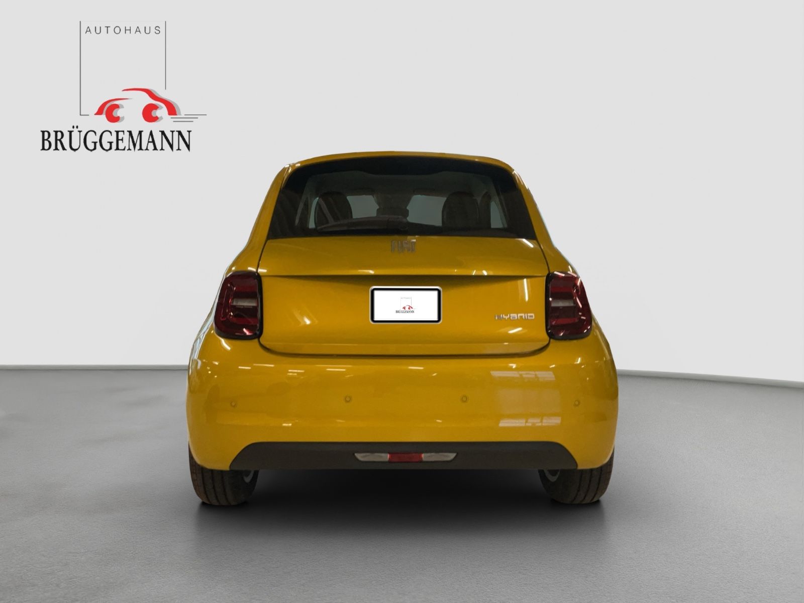 Fahrzeugabbildung Fiat 500 1.0 Hybrid FireFly 48 kW Torino