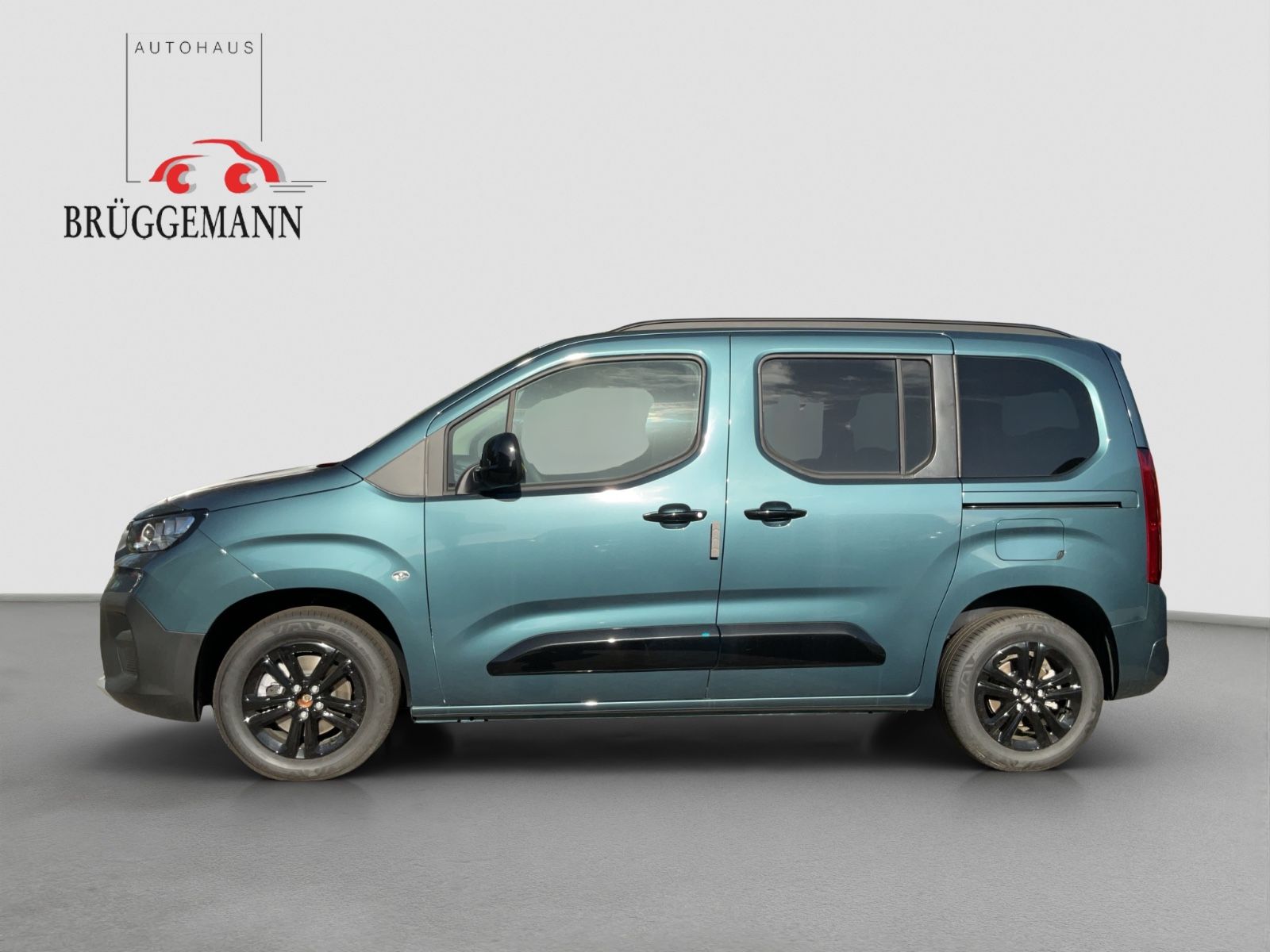 Fahrzeugabbildung Fiat Qubo L Icon L1 130PS Automatik Kamera