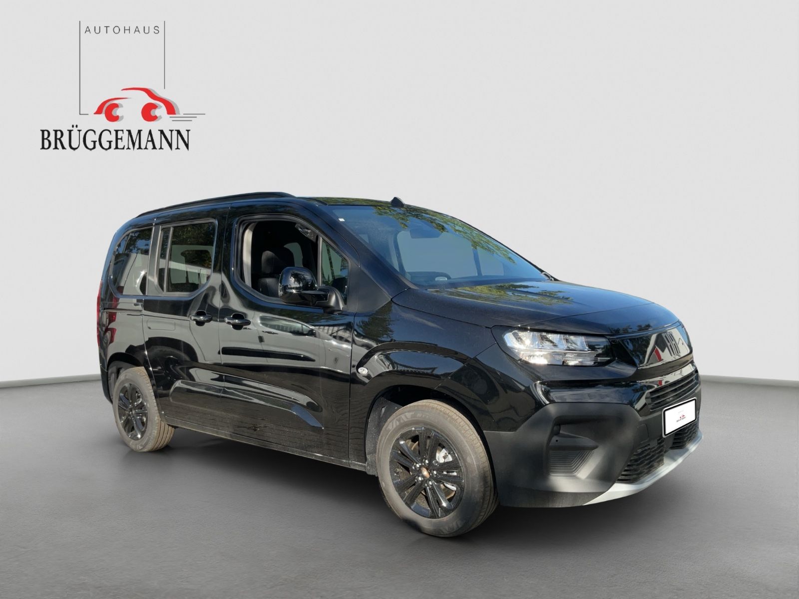 Fahrzeugabbildung Fiat Qubo L Icon L1 130PS Automatik Kamera