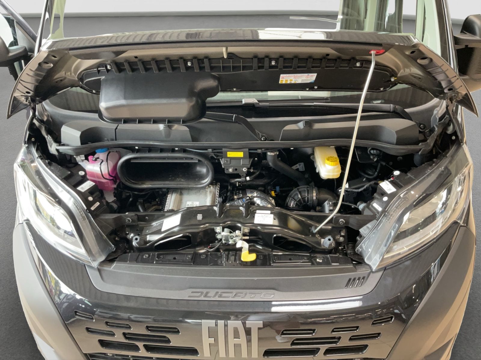 Fahrzeugabbildung Fiat Ducato L2H2 140 MJ Navi Klima Schwingsitz