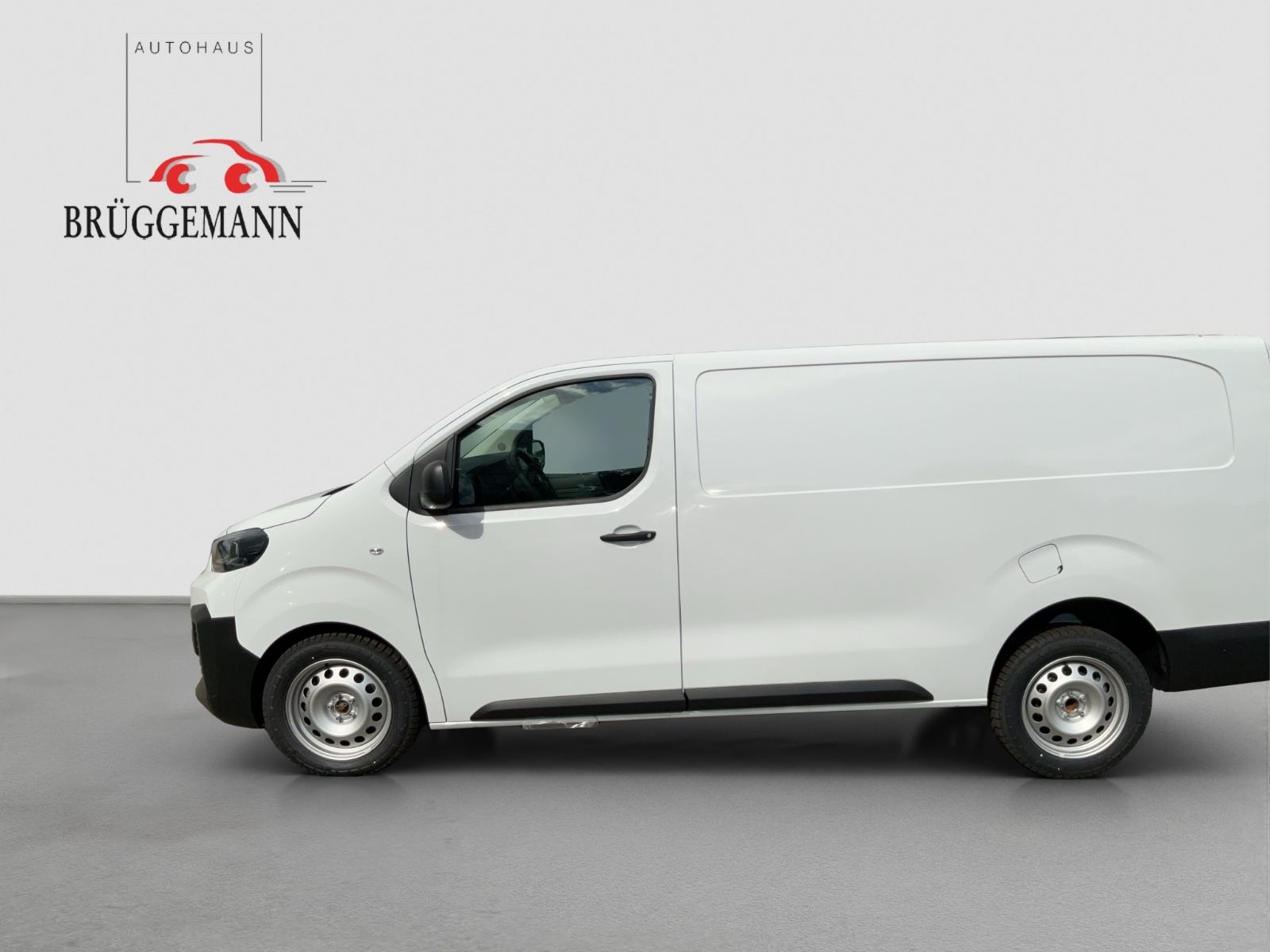 Fahrzeugabbildung Fiat Scudo XL Kamera 10 Zoll Radio Laderaumpaket
