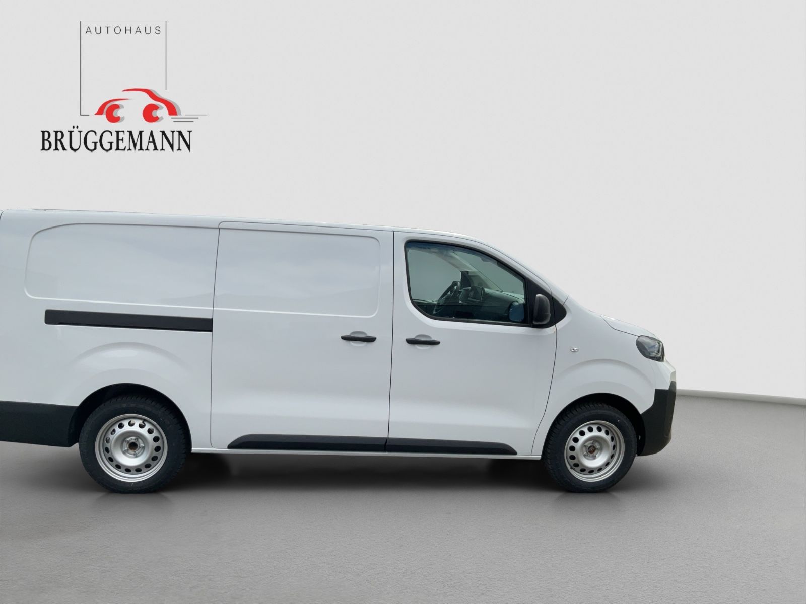Fahrzeugabbildung Fiat Scudo XL Kamera 10 Zoll Radio Laderaumpaket