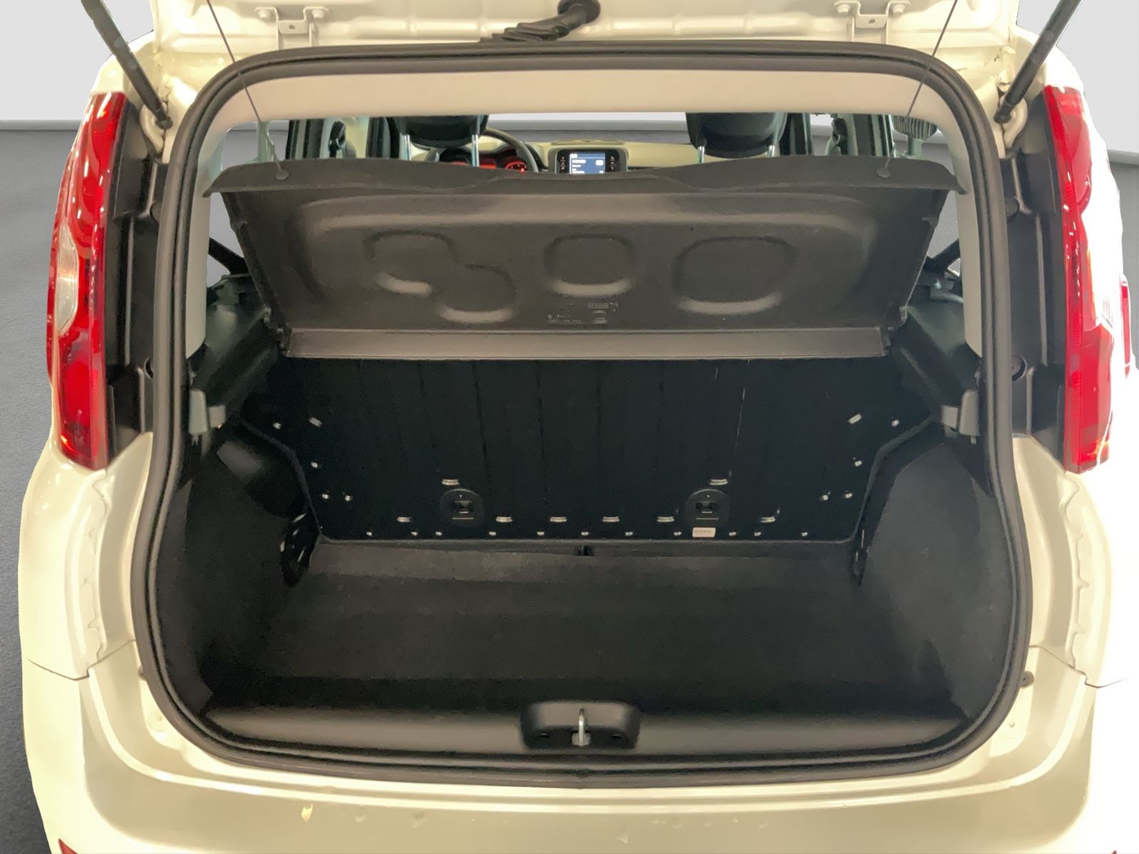 Fahrzeugabbildung Fiat Panda 1.0 Hybrid + Techpaket