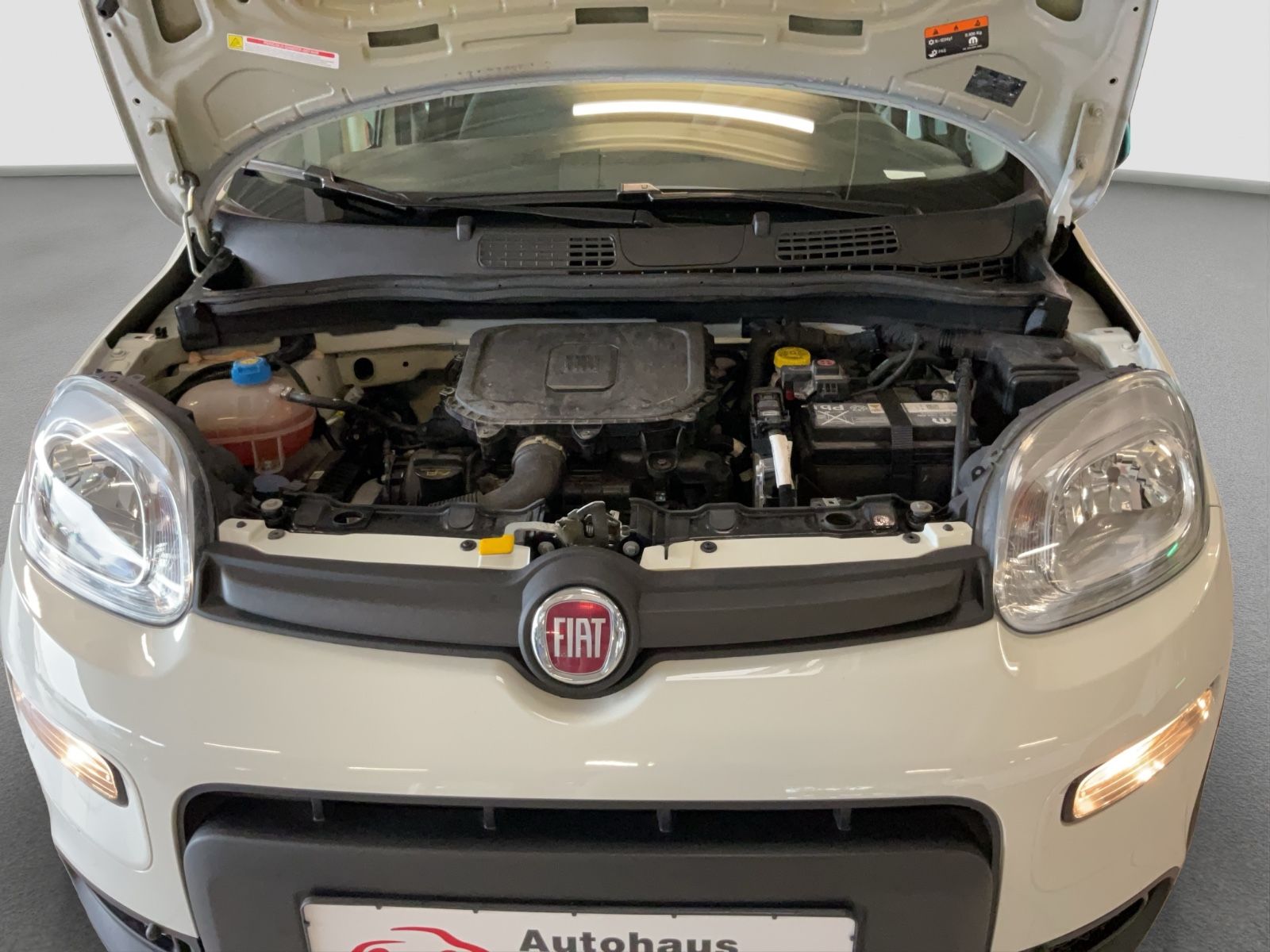 Fahrzeugabbildung Fiat Panda 1.0 Hybrid + Techpaket