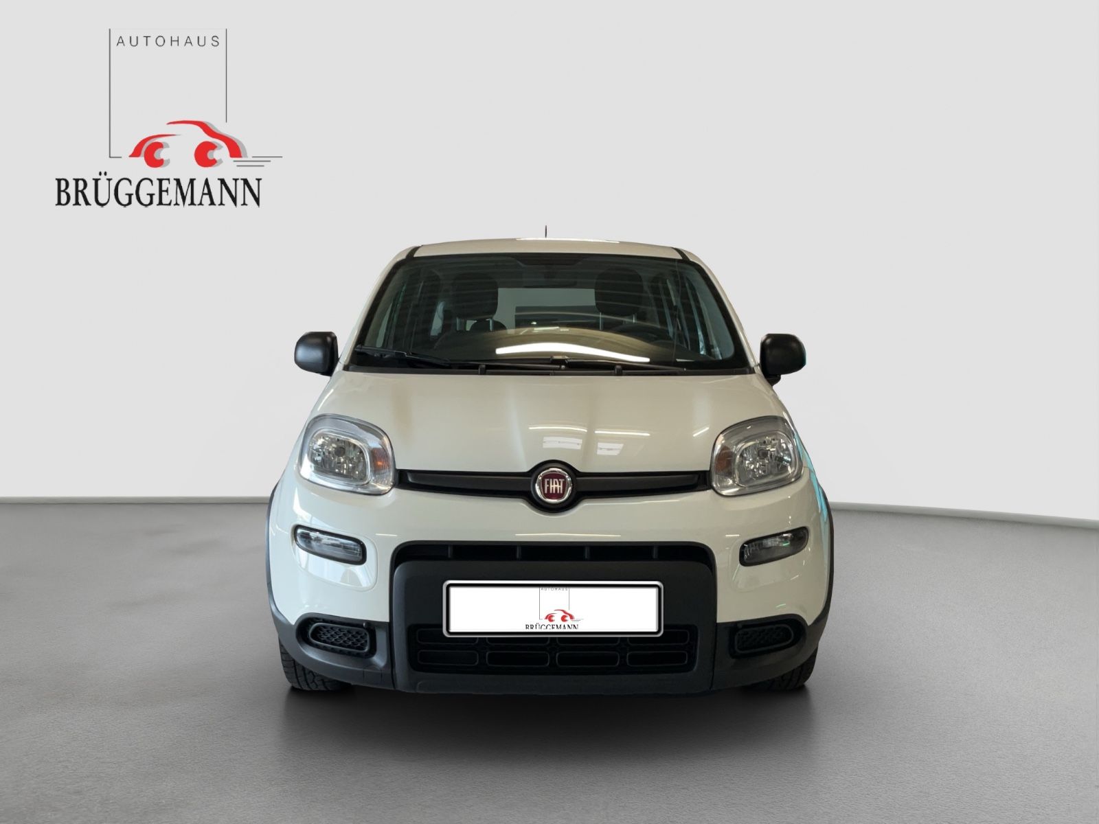 Fahrzeugabbildung Fiat Panda 1.0 Hybrid + Techpaket