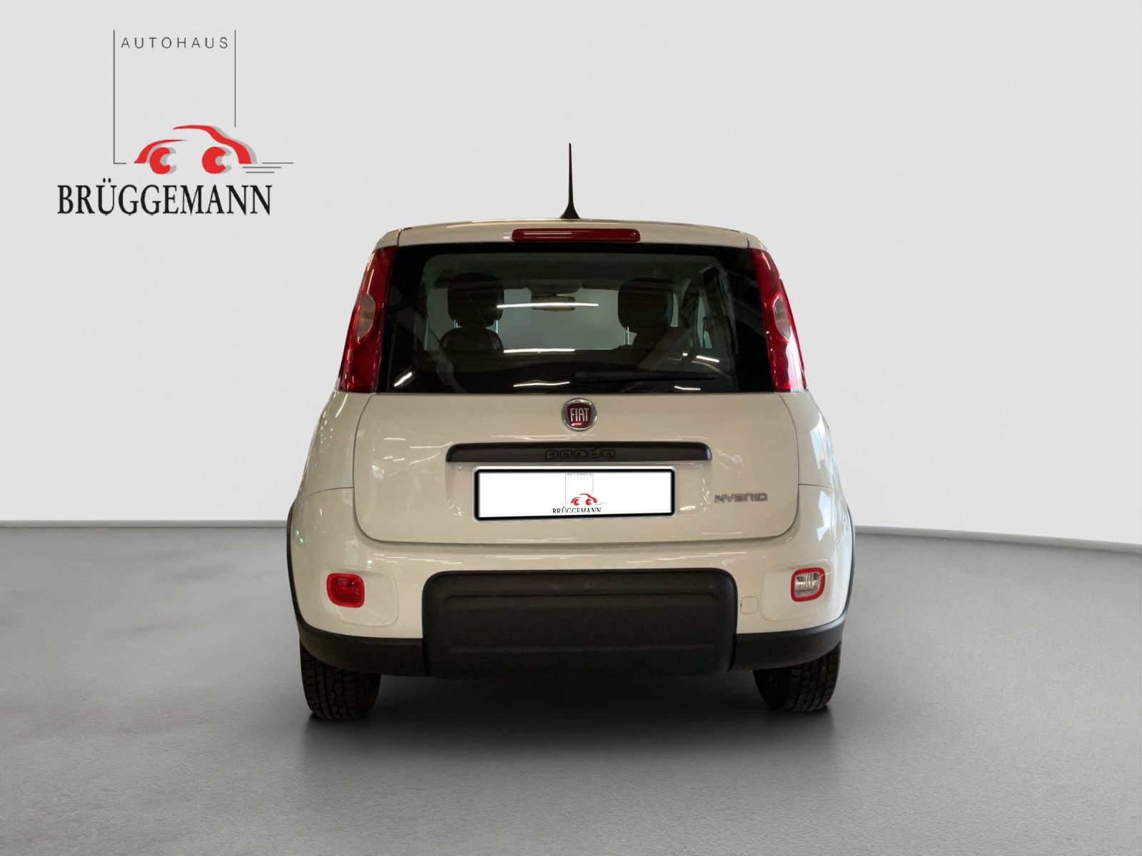 Fahrzeugabbildung Fiat Panda 1.0 Hybrid + Techpaket