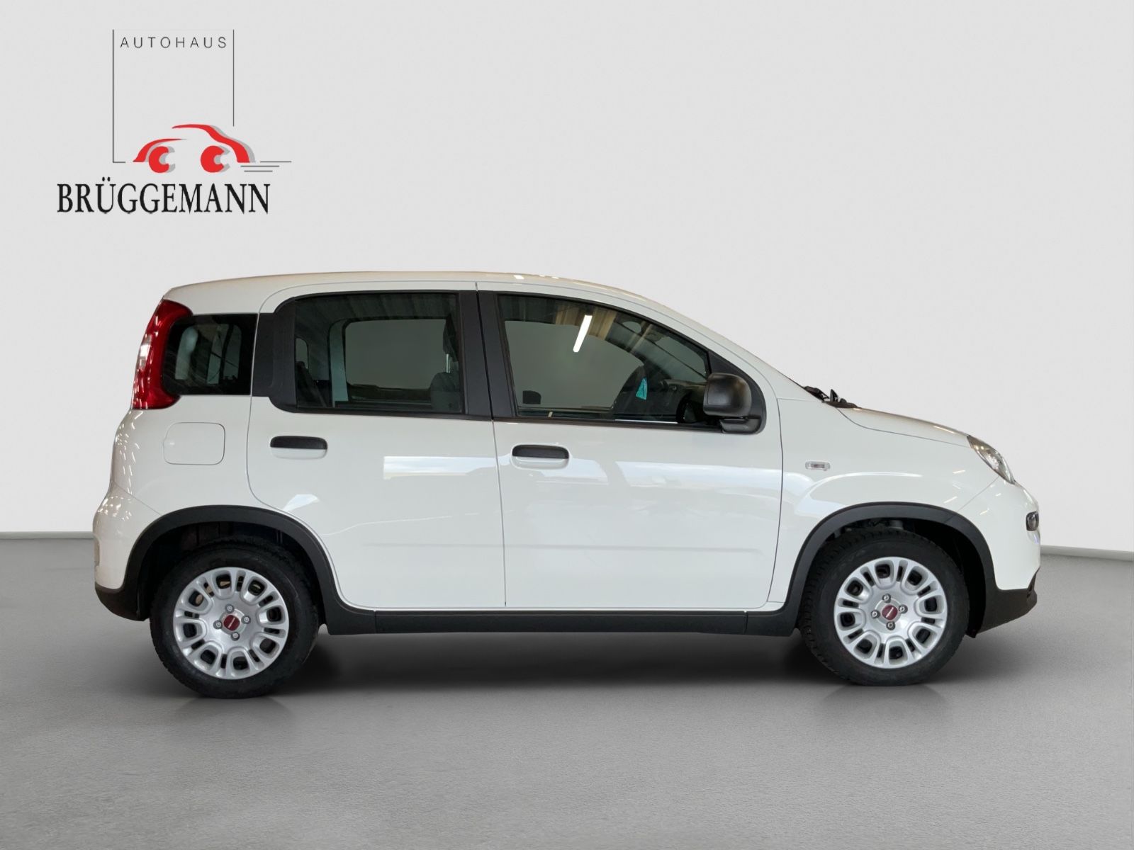 Fahrzeugabbildung Fiat Panda 1.0 Hybrid + Techpaket