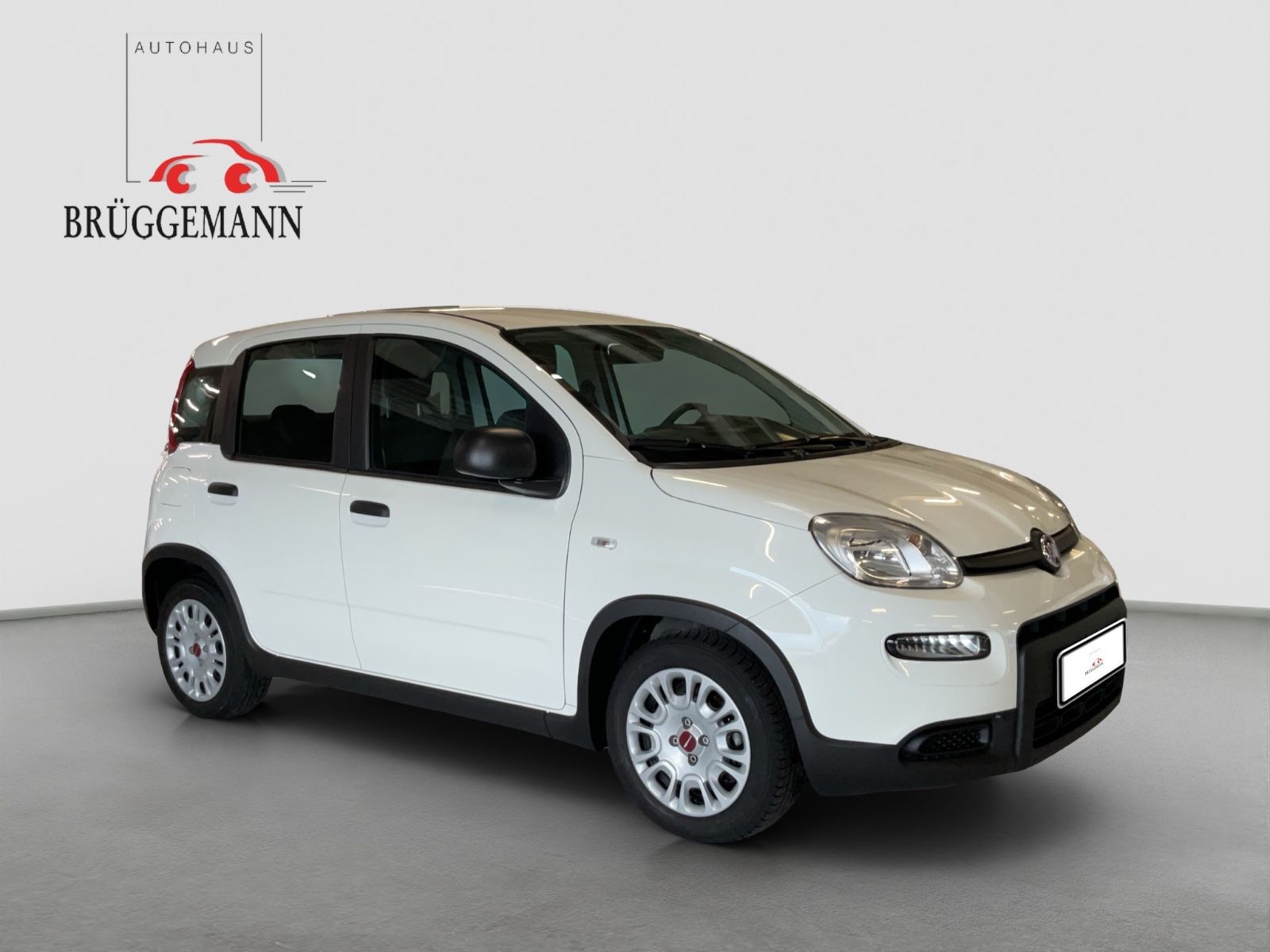 Fahrzeugabbildung Fiat Panda 1.0 Hybrid + Techpaket