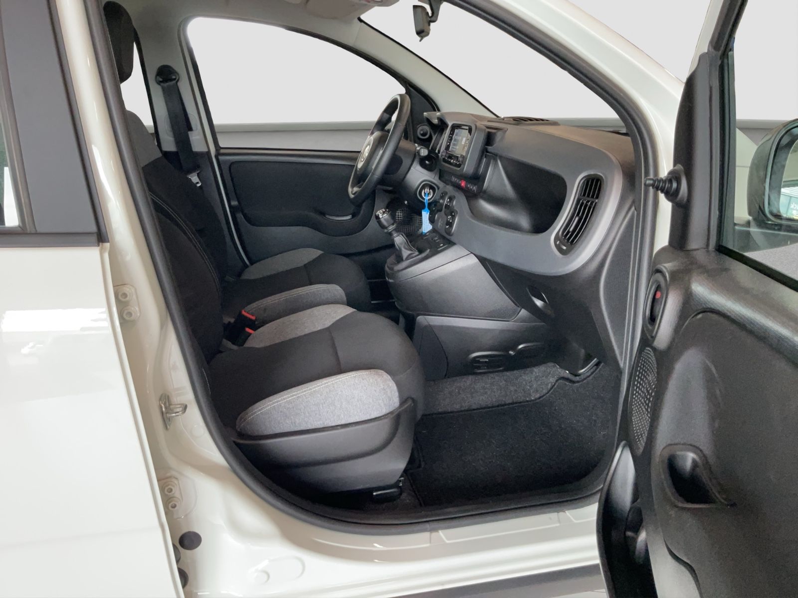 Fahrzeugabbildung Fiat Panda 1.0 GSE + Techpaket