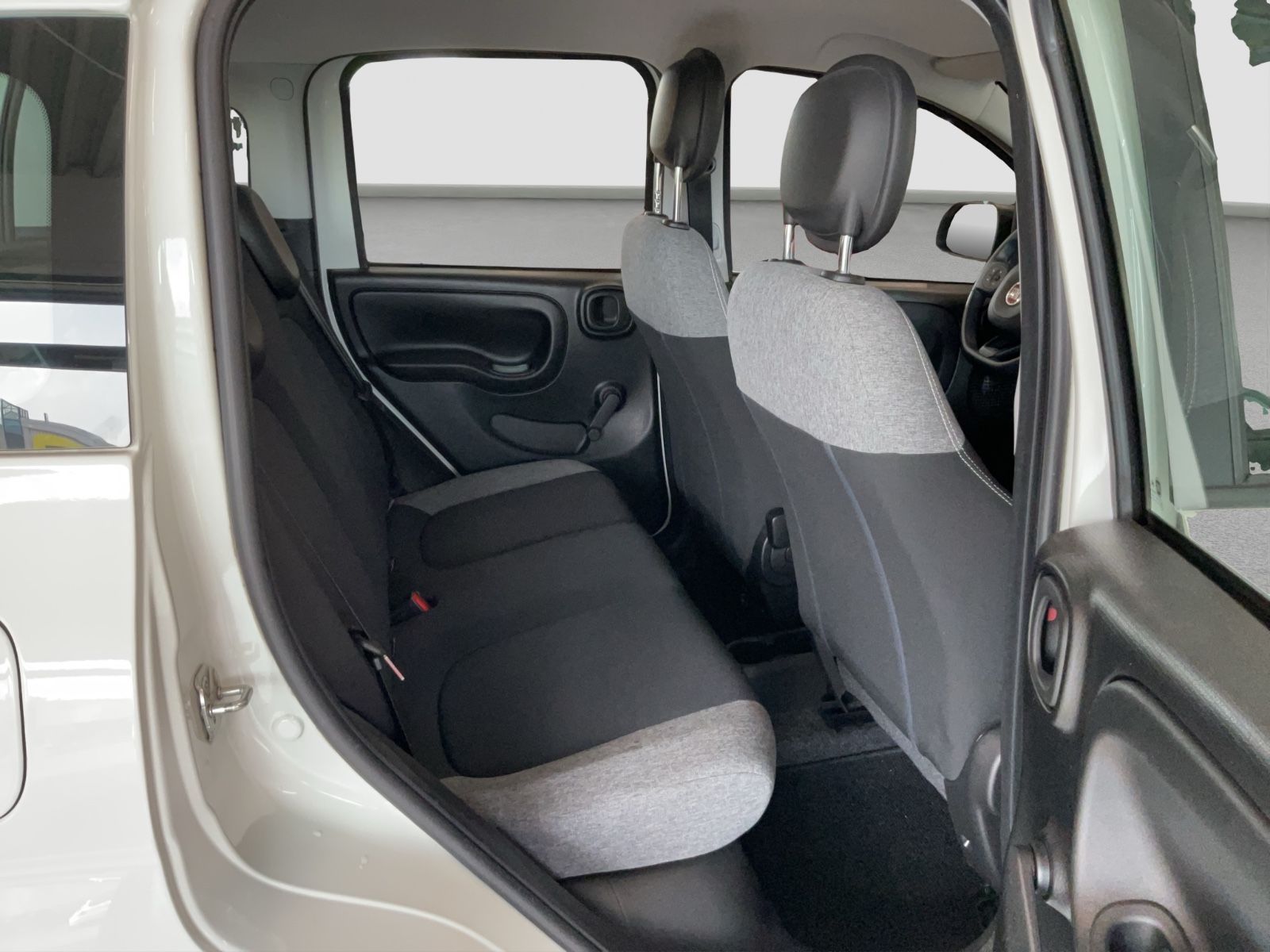 Fahrzeugabbildung Fiat Panda 1.0 GSE + Techpaket