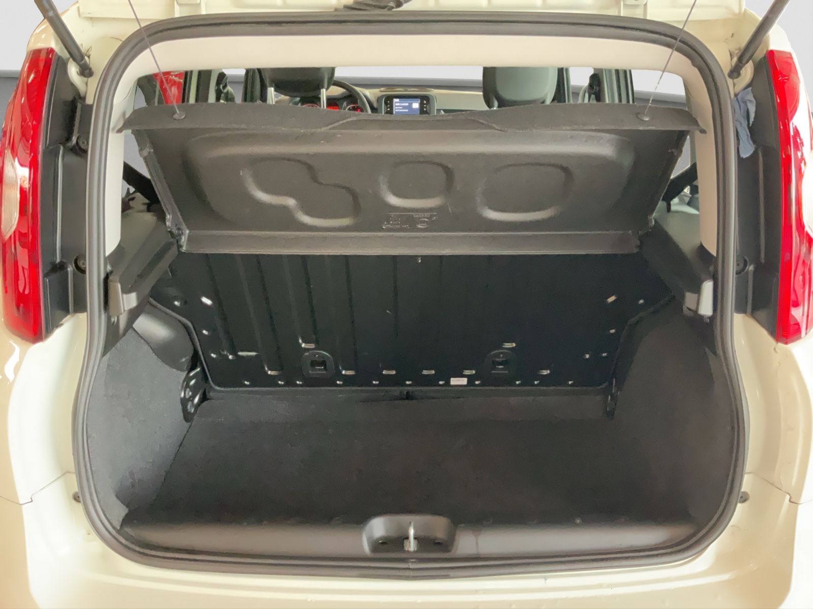 Fahrzeugabbildung Fiat Panda 1.0 GSE + Techpaket