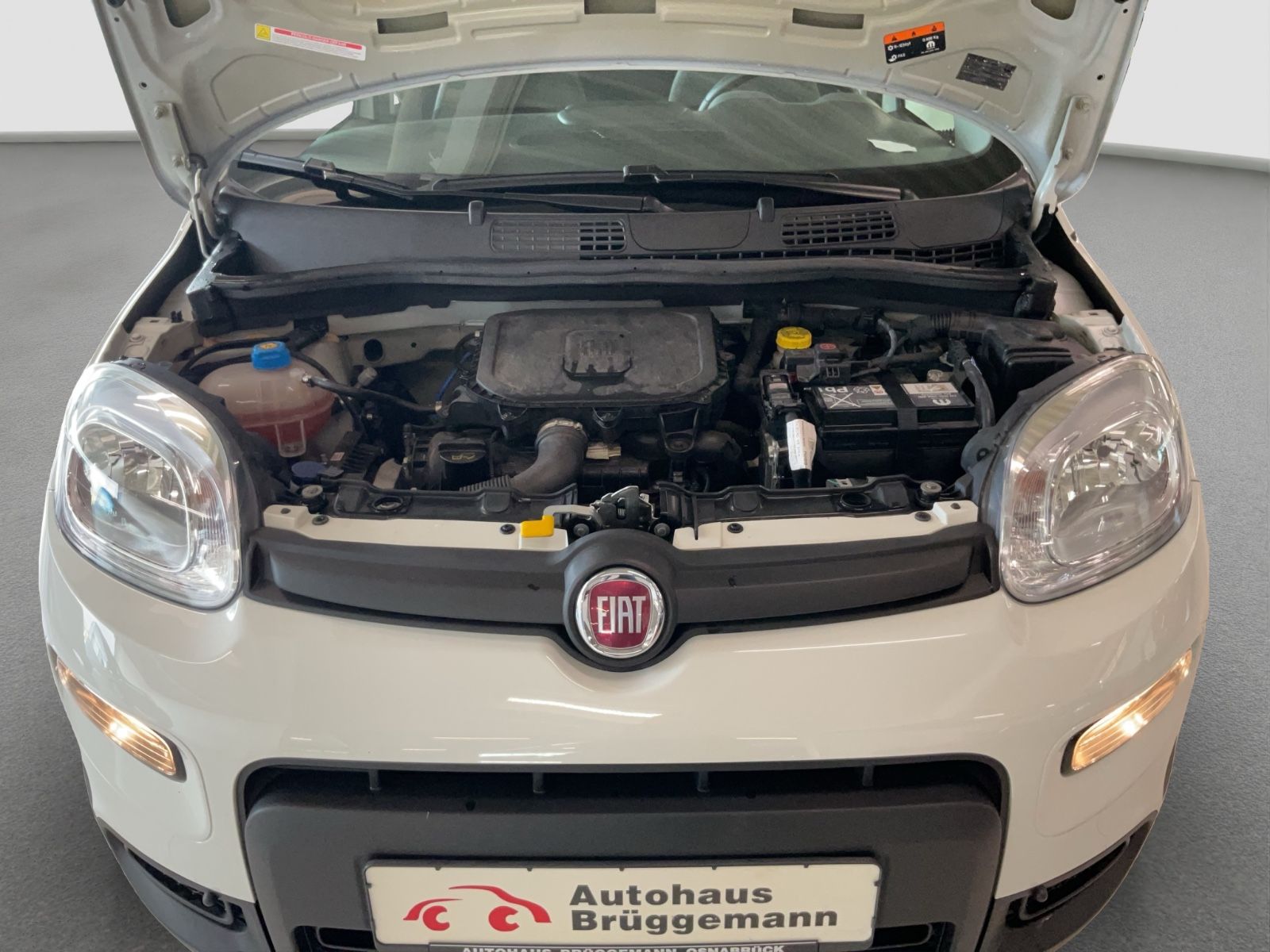 Fahrzeugabbildung Fiat Panda 1.0 GSE + Techpaket
