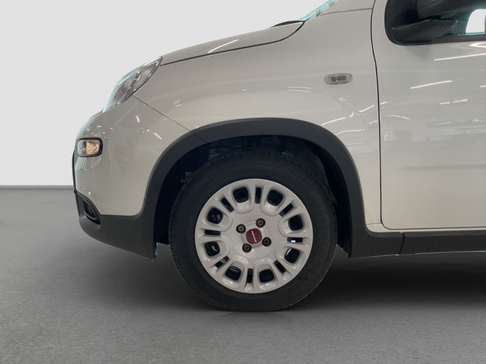 Fahrzeugabbildung Fiat Panda 1.0 GSE + Techpaket