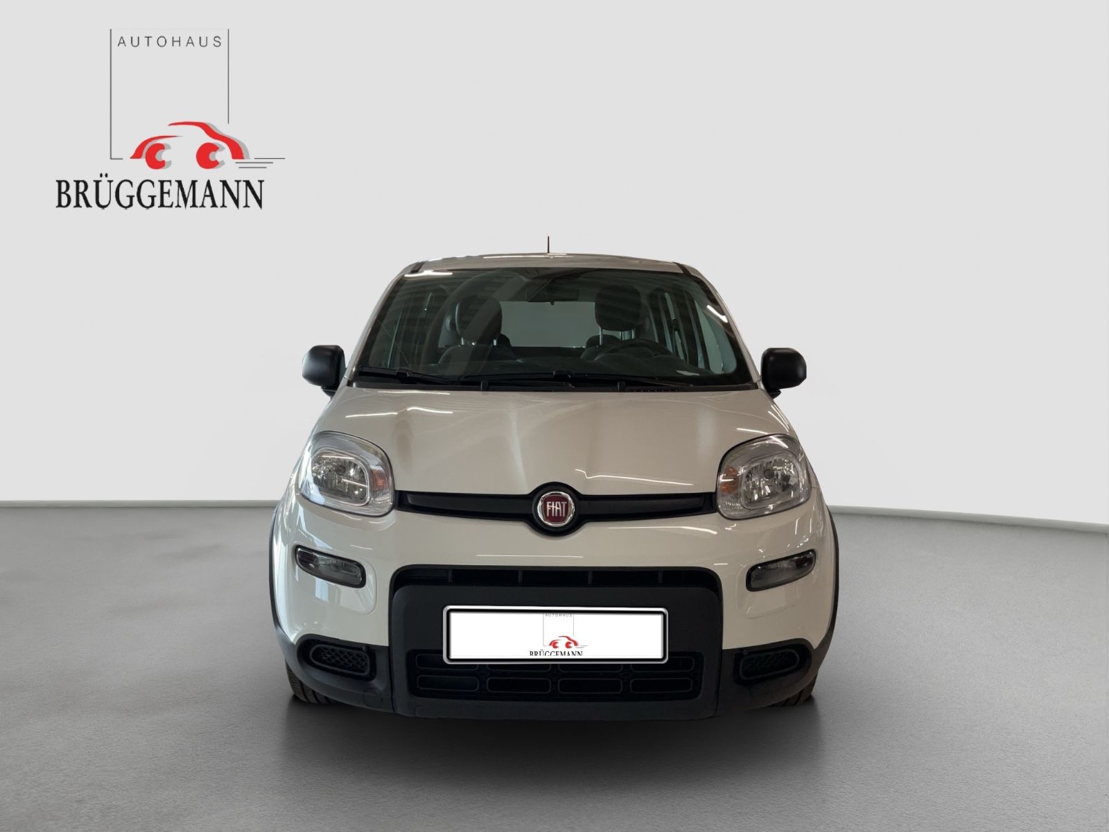 Fahrzeugabbildung Fiat Panda 1.0 GSE + Techpaket