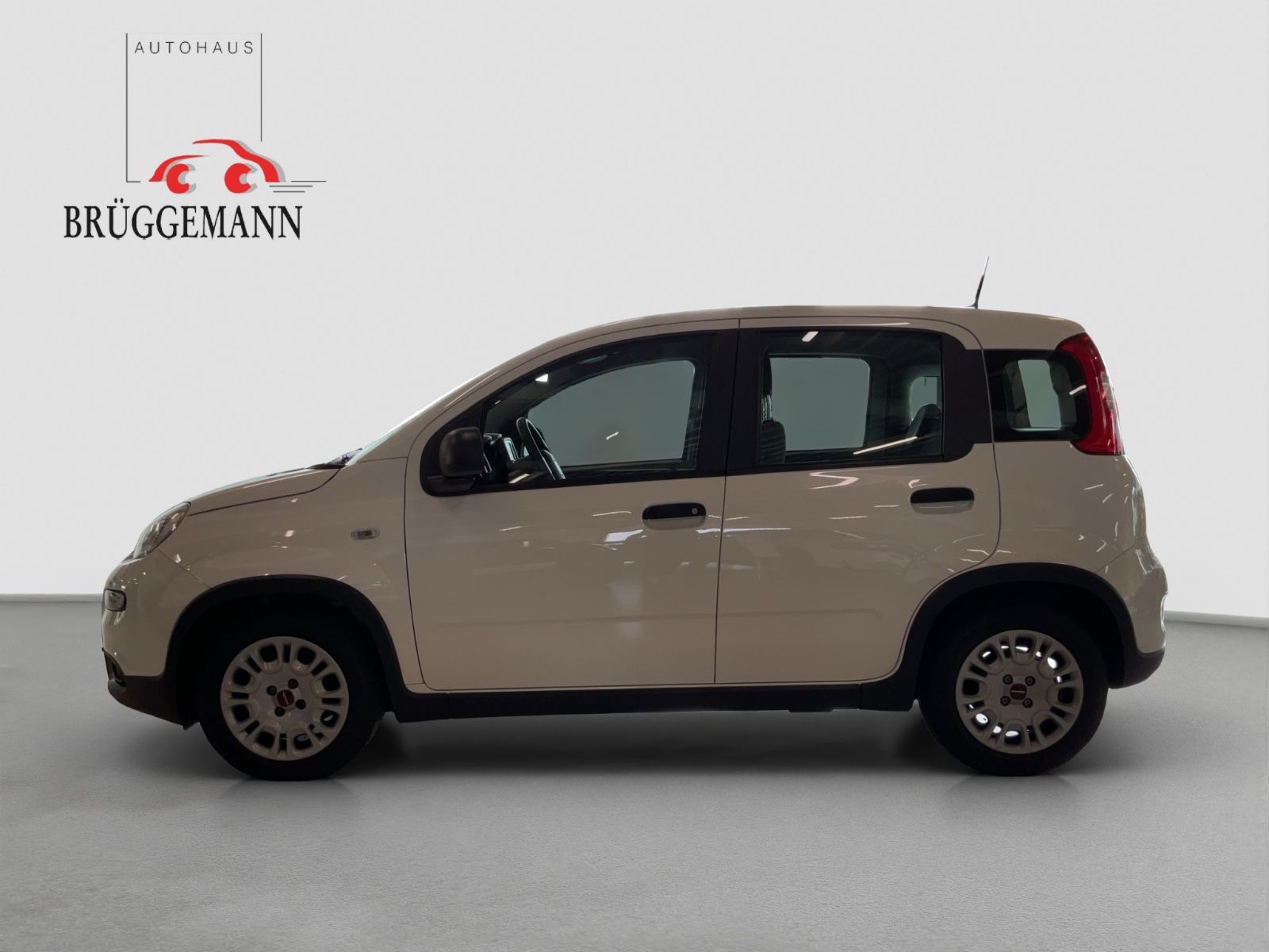 Fahrzeugabbildung Fiat Panda 1.0 GSE + Techpaket