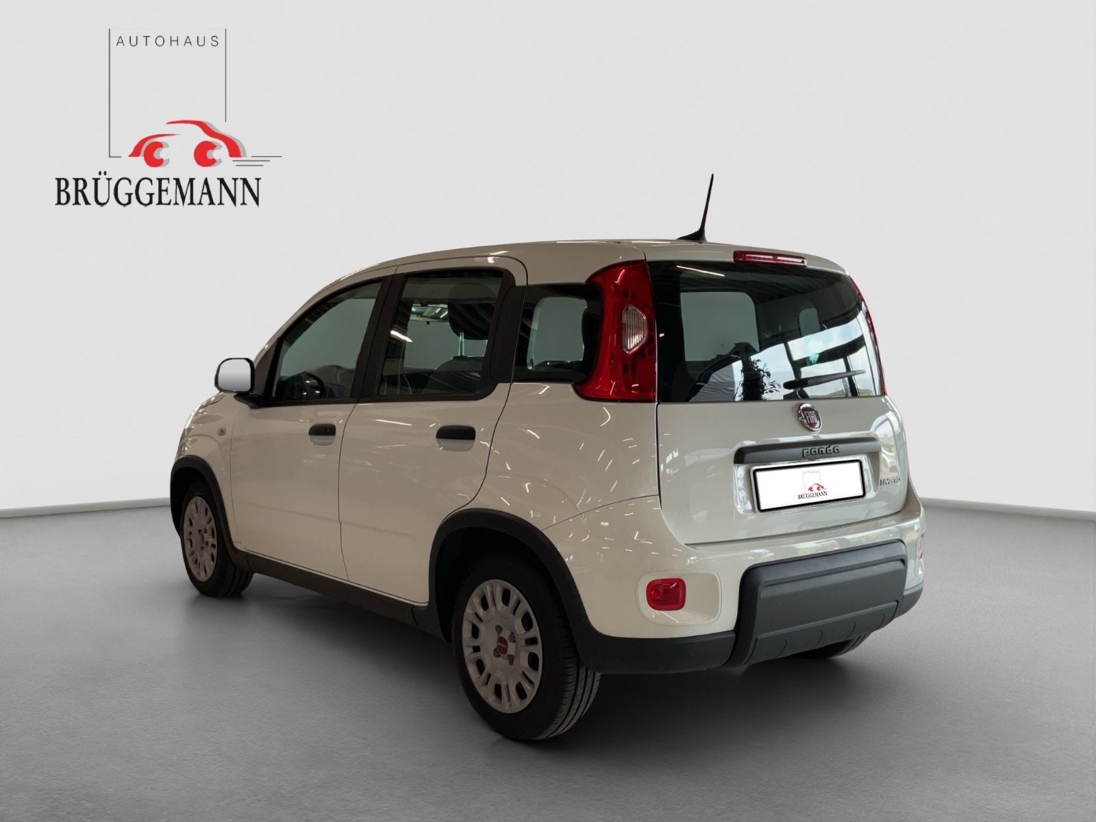Fahrzeugabbildung Fiat Panda 1.0 GSE + Techpaket