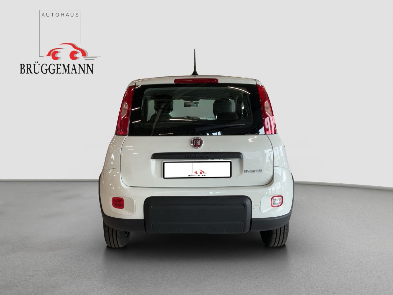Fahrzeugabbildung Fiat Panda 1.0 GSE + Techpaket