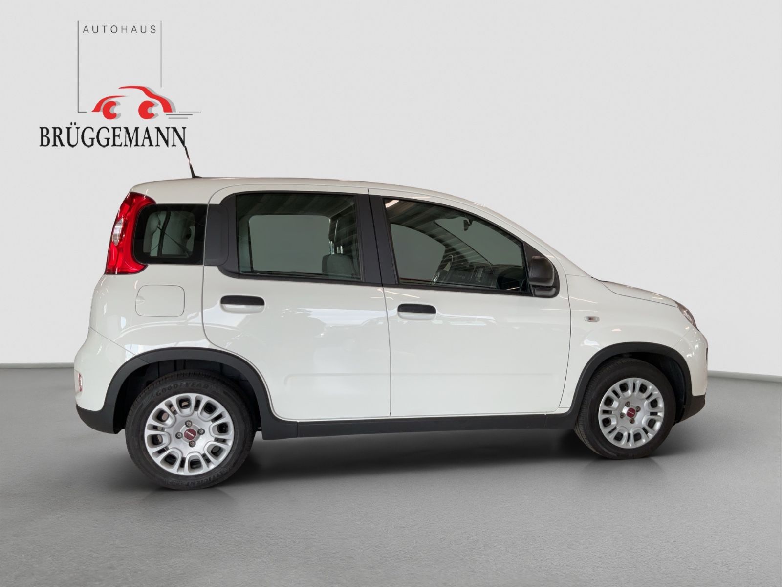 Fahrzeugabbildung Fiat Panda 1.0 GSE + Techpaket