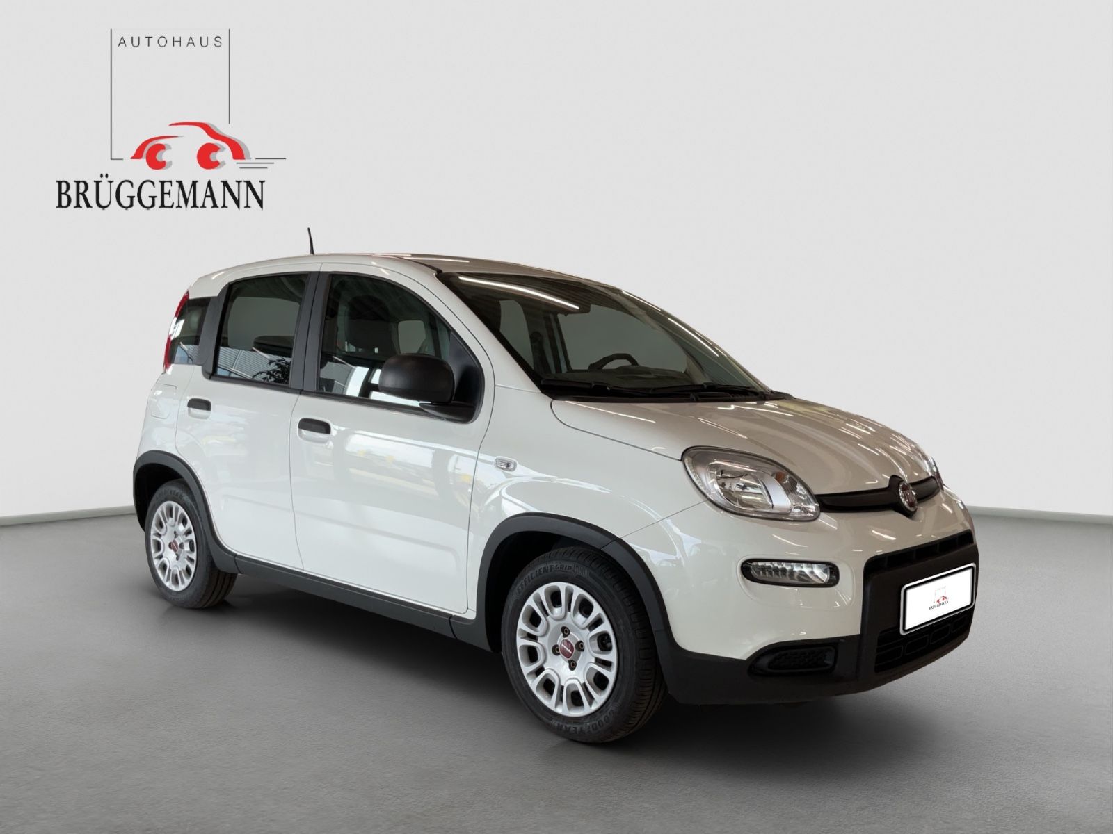 Fahrzeugabbildung Fiat Panda 1.0 GSE + Techpaket