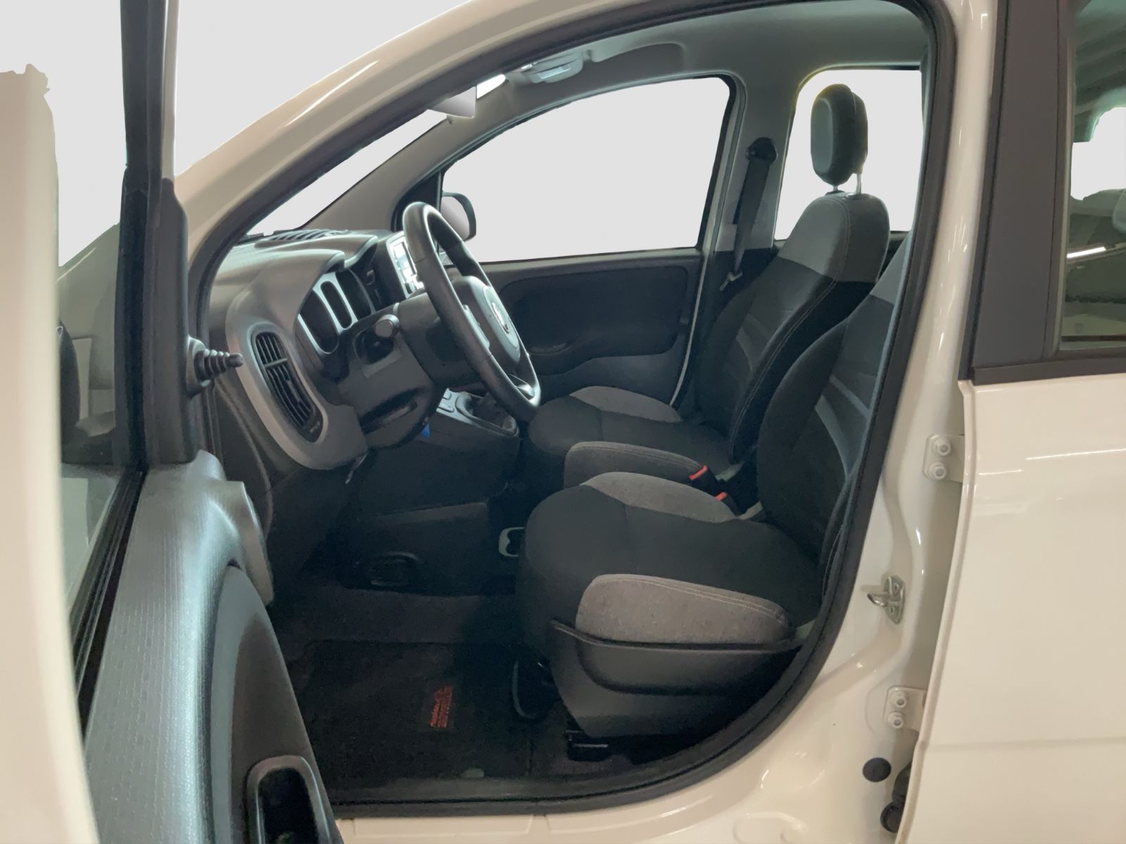 Fahrzeugabbildung Fiat Panda 1.0 GSE + Techpaket