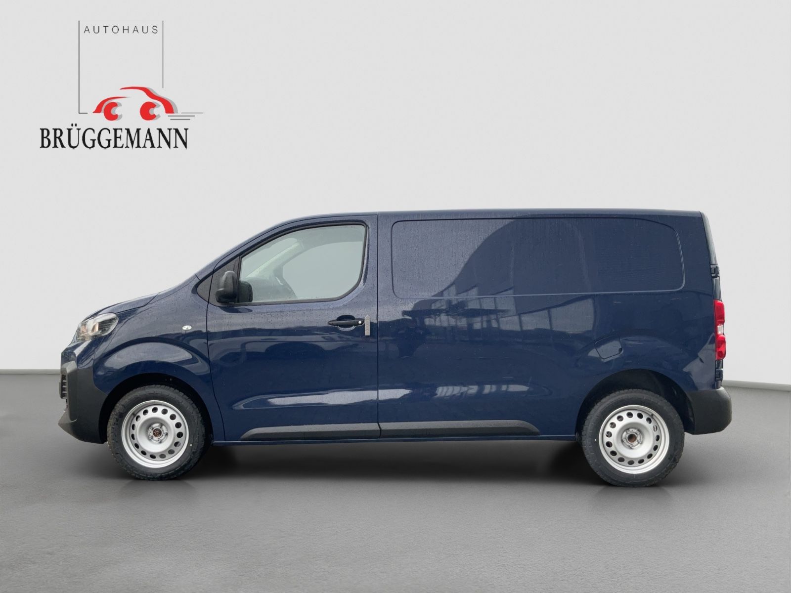 Fahrzeugabbildung Fiat Scudo M 150 PS Kamera CarPlay